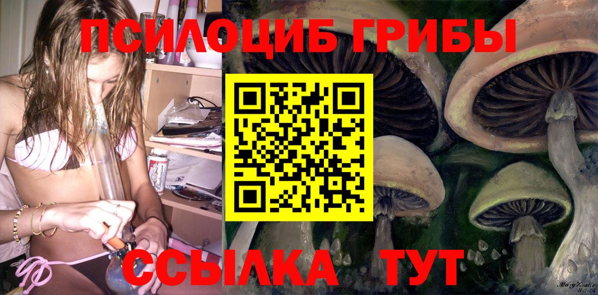 Магадан  где купить наркоту  Вход с VPN  Галлюциногенные грибы Psilocybine cubensis 